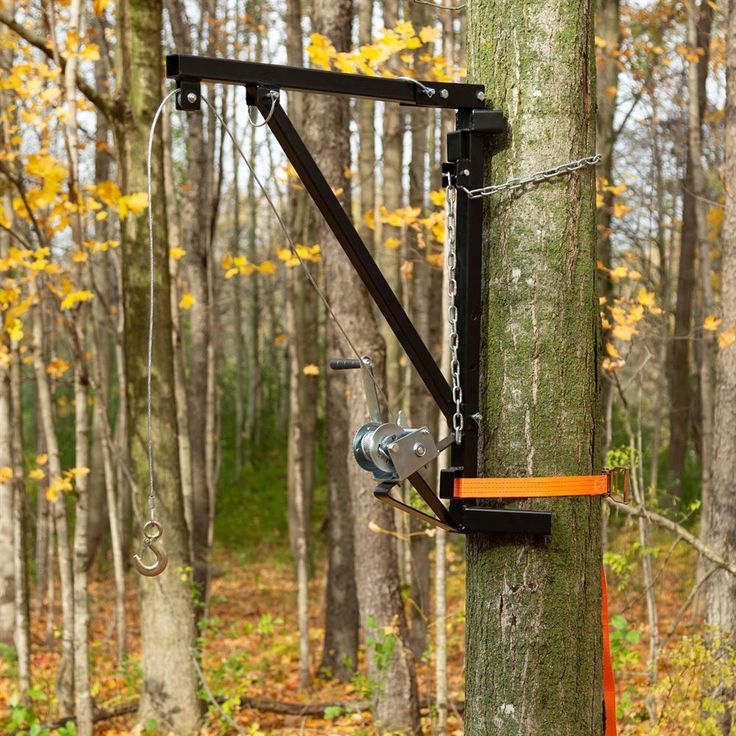 an orange tape is attached to a tree in the middle of a forest with lots of trees