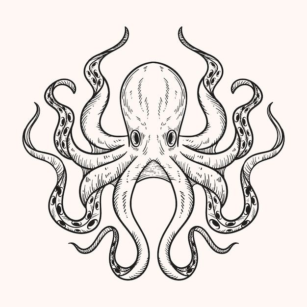 an octopus is drawn in black and white on a white background, it looks like the head