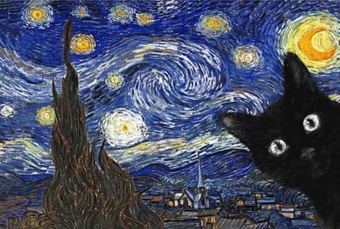 a black cat looking up at the starry night