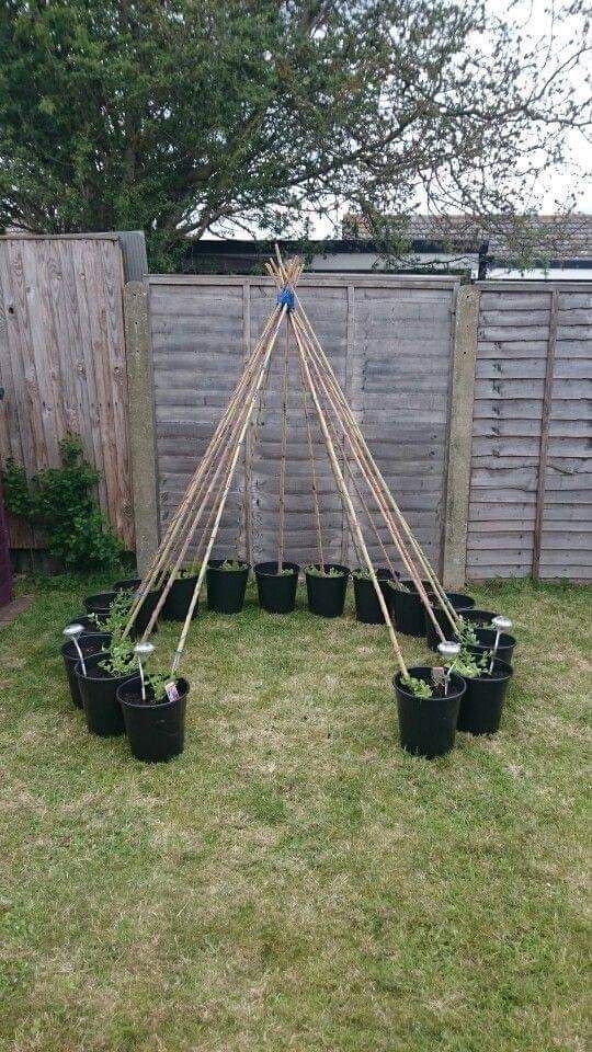 a teepee tent made out of plants in the grass next to a wooden fence