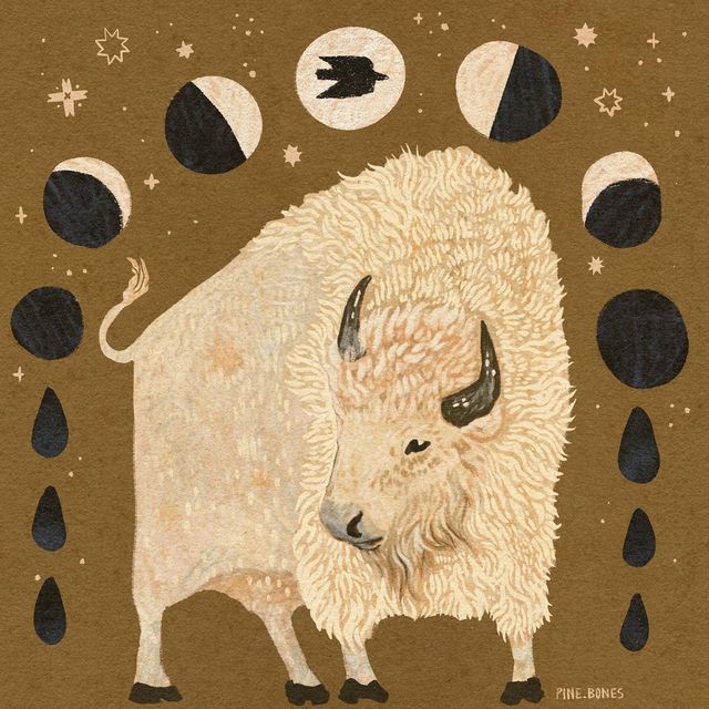 an illustration of a white buffalo standing in the rain with moon and stars above it