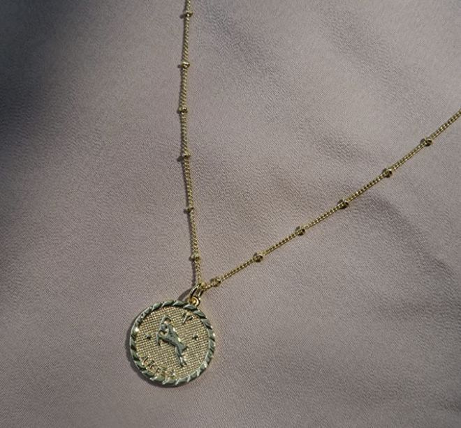 Our Zodiac Coins are meaningful reminders of the unique qualities possessed by each of the astrological signs. These eye-catching necklaces are a perfect way to personalize a gift for yourself or a loved one! The perfect every day necklace. Zodiac Necklace, Zodiac Pendant, Medallion Necklace, Bachelorette Gifts, Zodiac Necklaces, Jan 20, Aesthetic Beauty, Astrology Zodiac, Coin Pendant