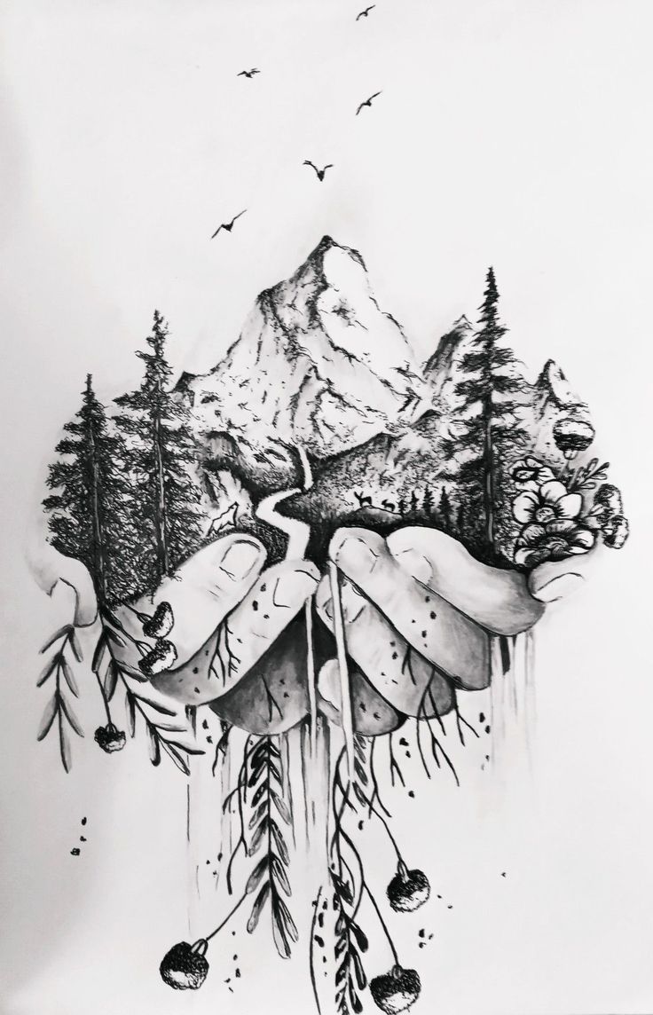 a drawing of mountains and trees with birds flying over them