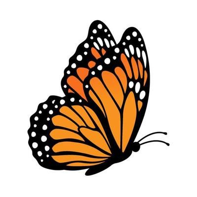 an orange butterfly with white dots on it's wings is flying in the air