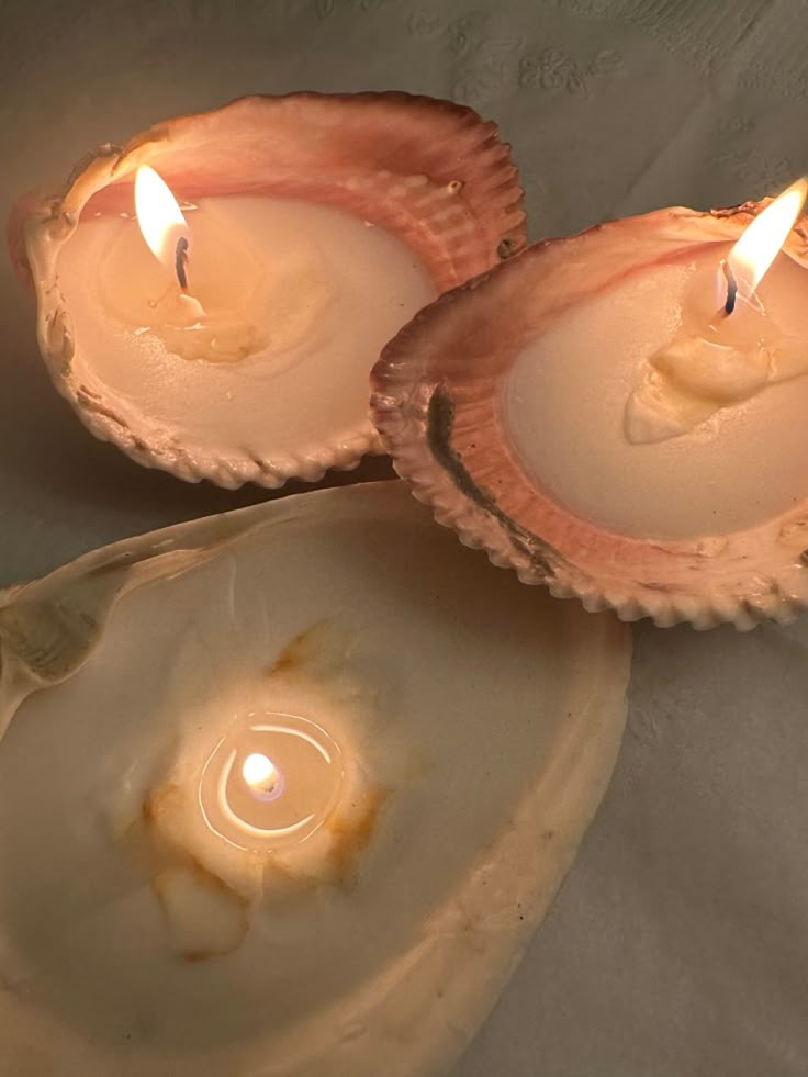 three seashells with candles in them on a table