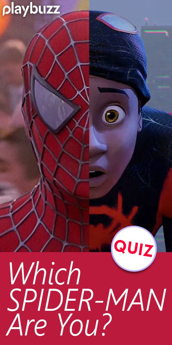 spider - man is in front of the caption which says which spider - man are you?