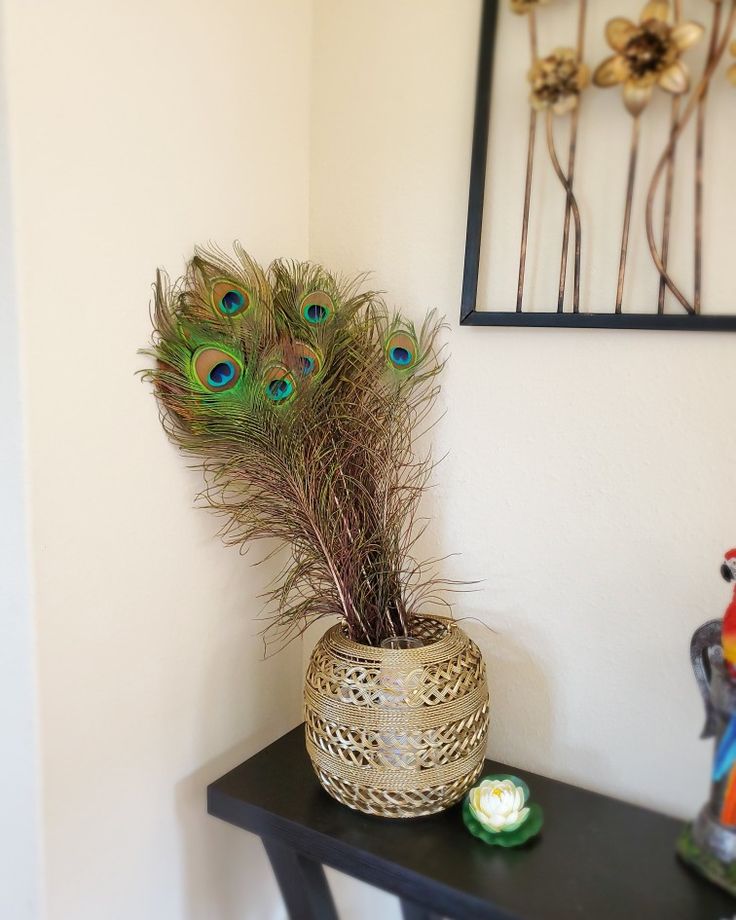 a vase with some peacock feathers in it