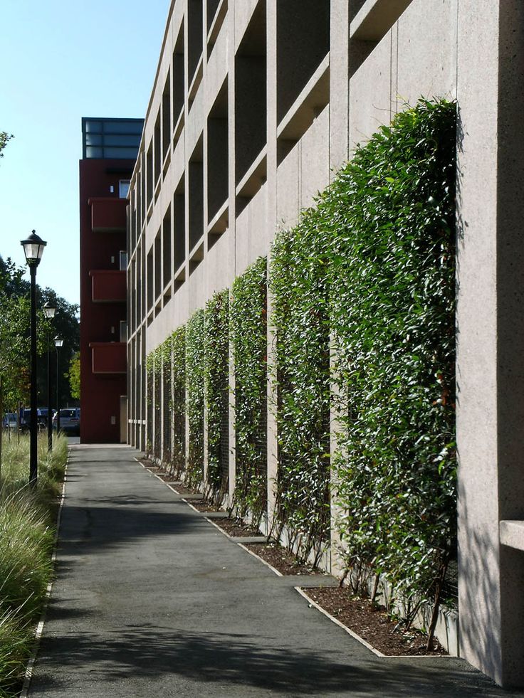 an empty sidewalk next to a building with plants growing on the wall and lampposts