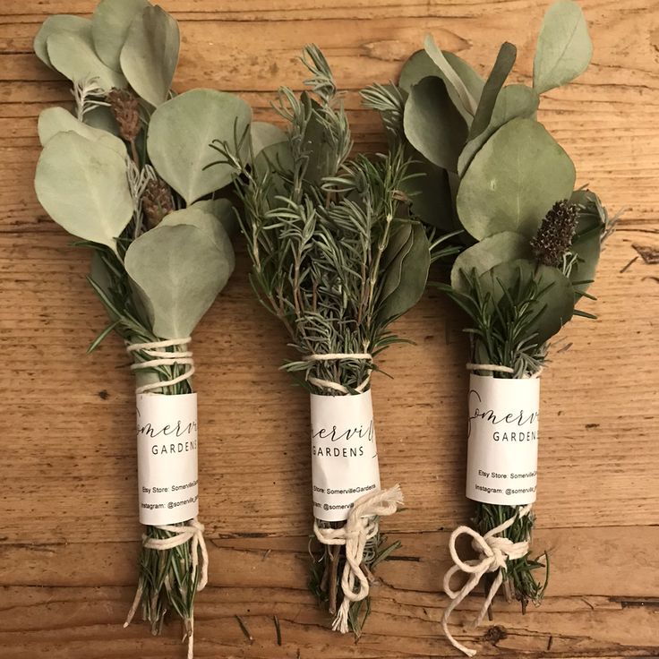 three bundles of herbs tied together with twine