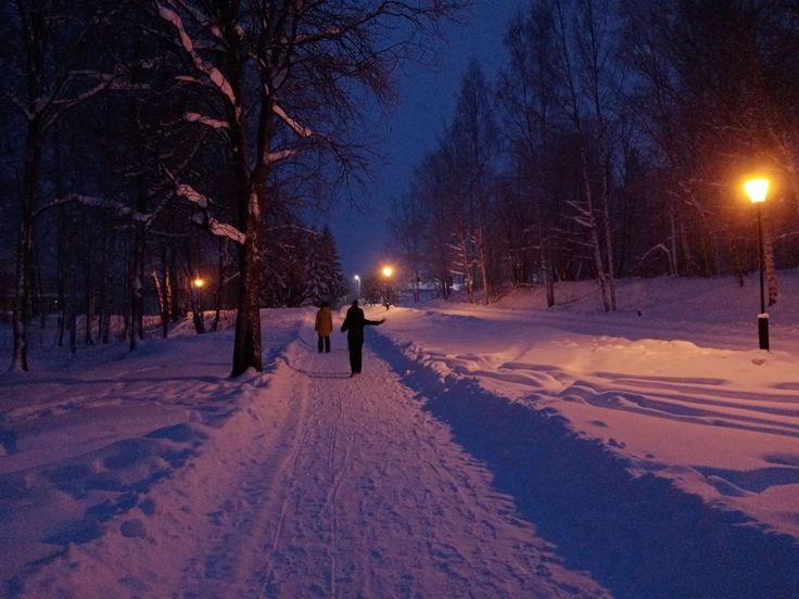 two people walking down a snowy path at night