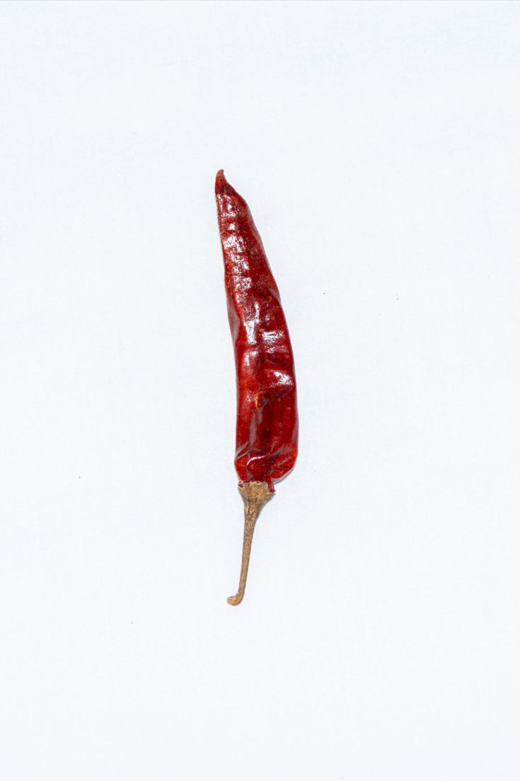 agriculture, alkaline, background, burning, capsicum, chili, chilly, closeup, color, cook, cooking, cuisine, culture, dry, farm, food, freezing, fresh, healthy, heat, herb, herbal, hot, ingredient, isolated, kitchen, kitchen item, nature, organic, paprika, pepper, photography, plant, red, red chili, ripe, seasoning, single, spice, spices, spicy, taste, vegan, vegetable, vegetarian, white, white background, Pepper Photography, Fruits And Vegetables Images, Chili White, Paprika Pepper, Kitchen Item, Farm Food, Chilli Pepper, Red Chili, Chili