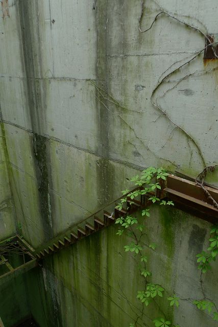 an abandoned building with vines growing on the wall and stairs leading up to the roof