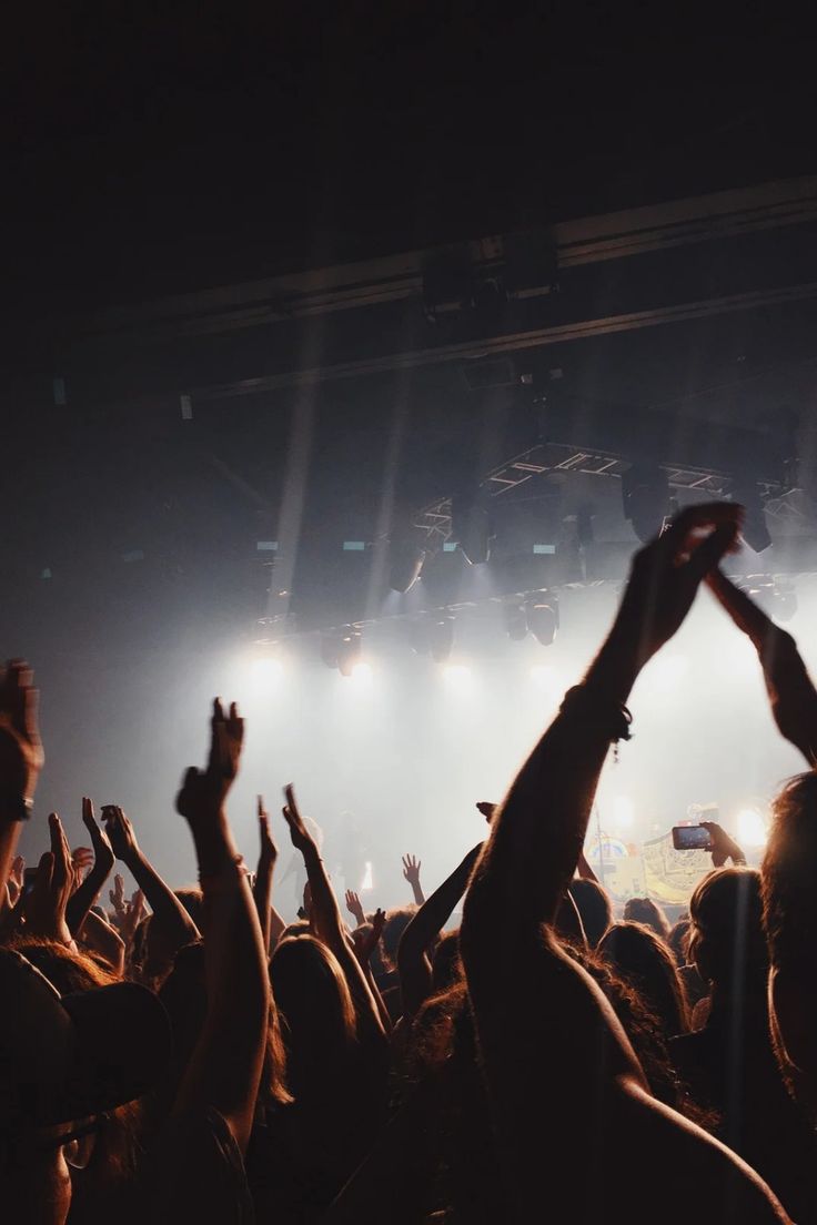 a crowd of people at a concert with their hands in the air and lights on