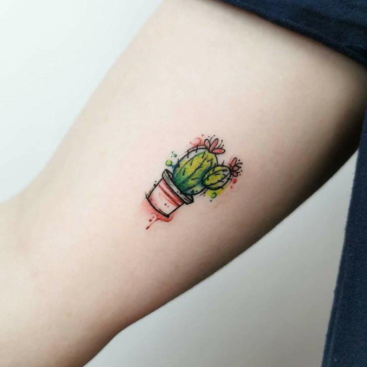 a small cactus in a pot tattoo on the arm