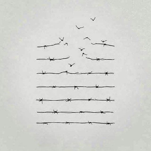 birds are flying over barbed wire on a white background with the words,'this is an