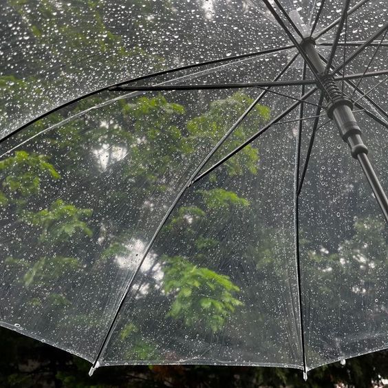 an open umbrella with rain drops on it in front of some trees and bushes,