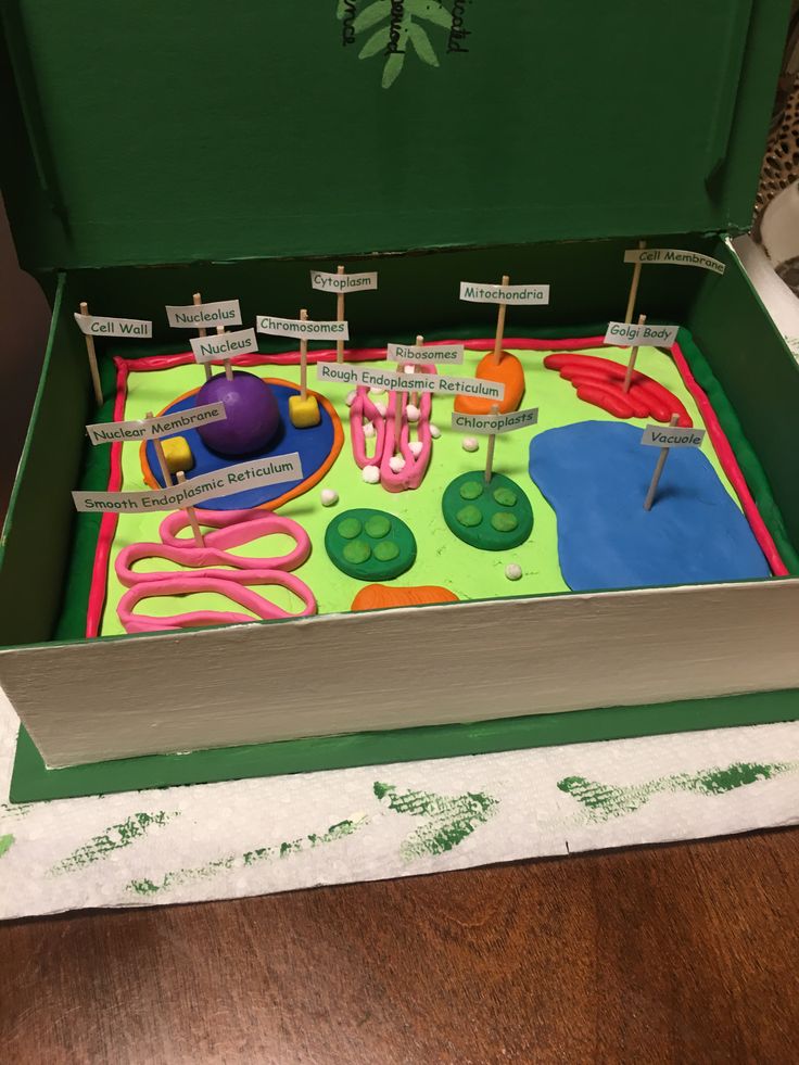 an open green box filled with toys on top of a wooden table