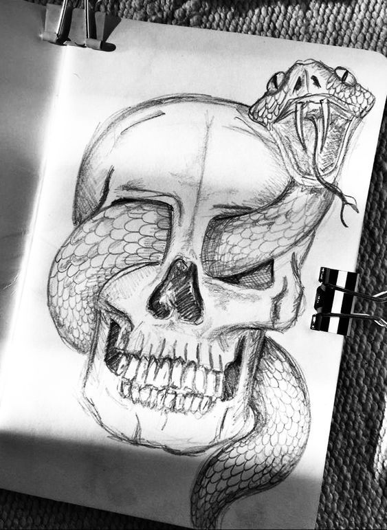 a drawing of a skull with a snake on it