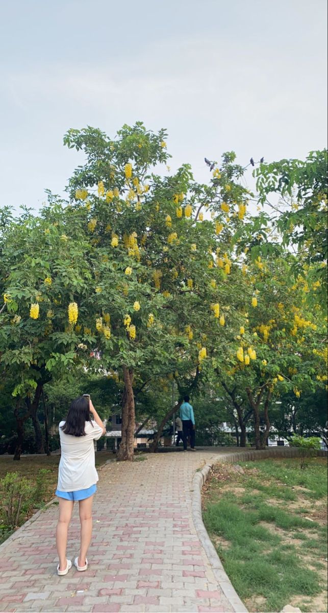 a woman standing on a brick walkway next to a tree filled with yellow flowers and leaves