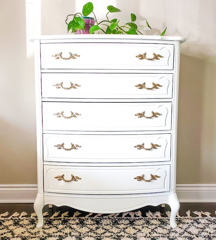 a white chest of drawers with plants on top