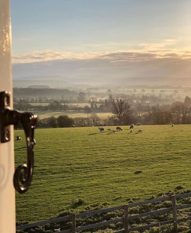 a field with sheep grazing in the distance