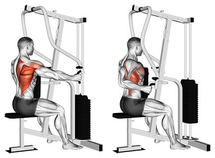 an image of a man doing squats on a bench with the help of a machine