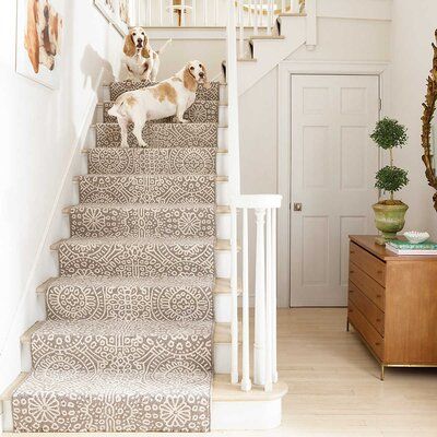 two dogs are standing on the stairs in front of a mirror and table with vases