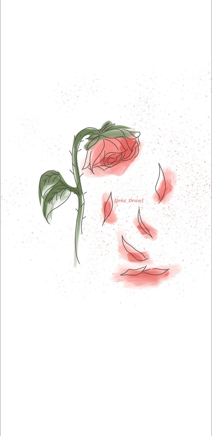 a drawing of a rose on a white background