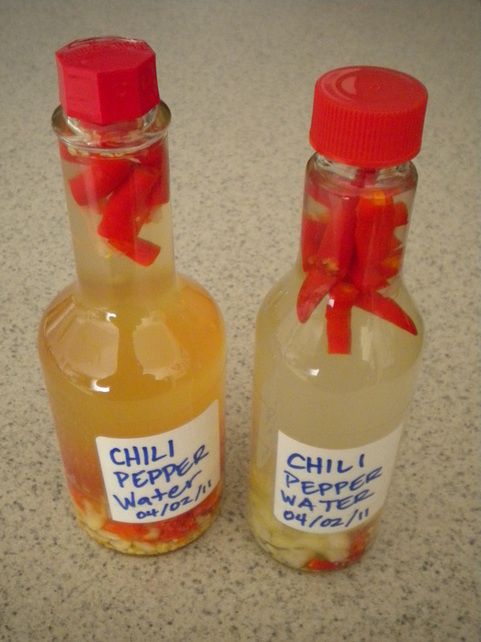 two bottles filled with liquid sitting on top of a counter