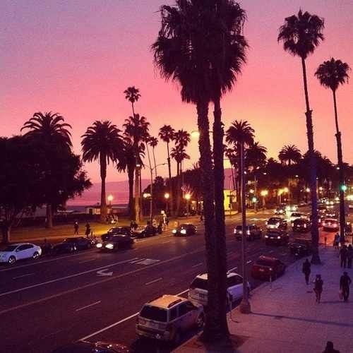 palm trees line the street as people walk on the sidewalk at sunset in this city