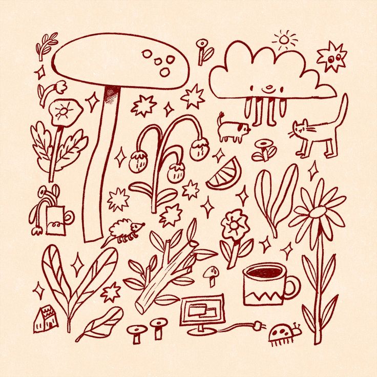 a drawing of various plants and animals on a piece of paper