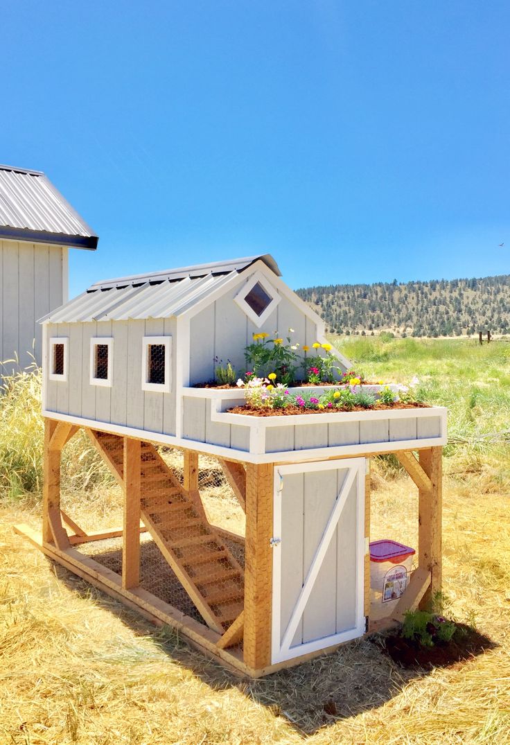 a small white house sitting on top of dry grass next to a building with flowers growing out of the roof