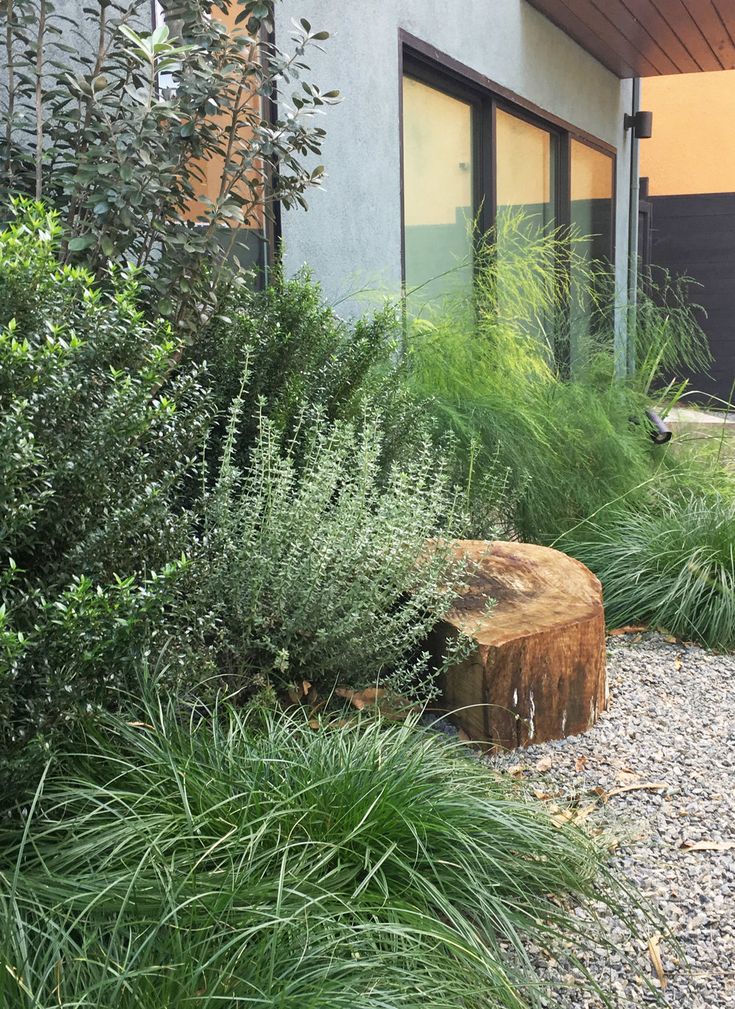 a tree stump sitting in the middle of a garden next to some plants and bushes