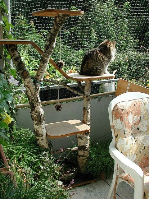 a cat sitting on top of a tree next to a white chair and some trees