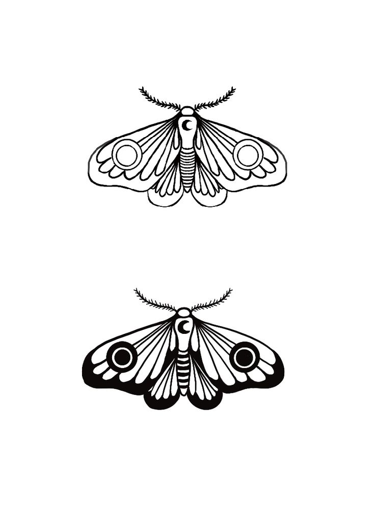 two black and white images of moths on a white background, each with an intricate design