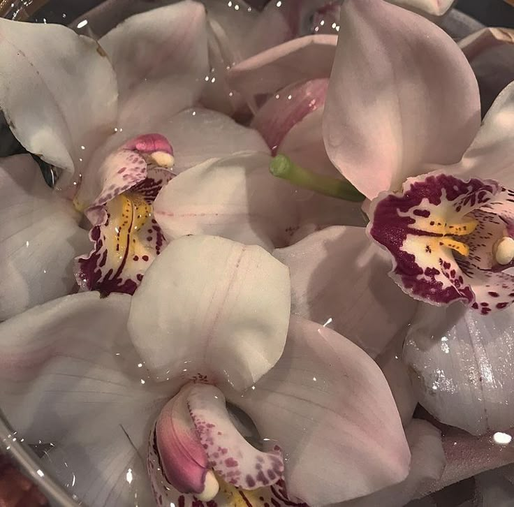 some white and purple flowers in water on a table