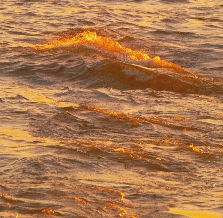 an orange substance floating on top of the ocean