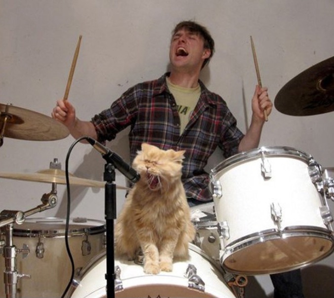 a man playing drums with a cat sitting on the drum kit in front of him