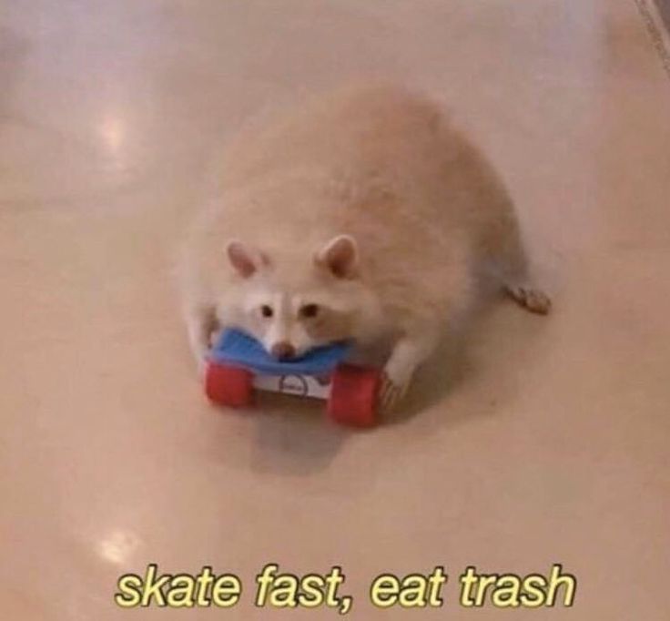 a white rat playing with a toy car on the floor that says skate fast, eat trash