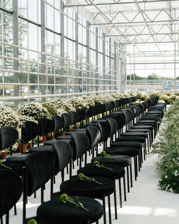 rows of black chairs with plants in them