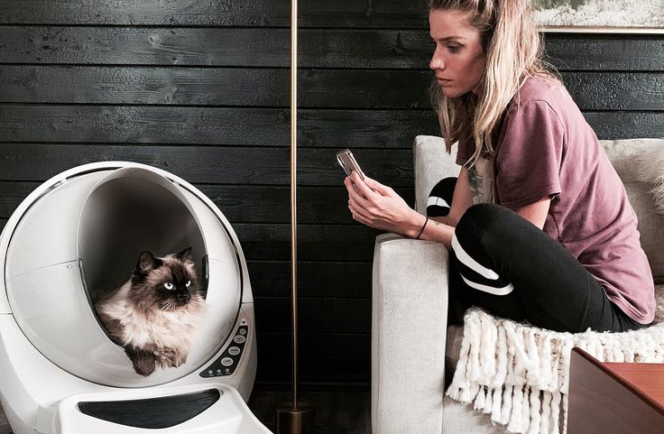 a woman sitting on a couch looking at her cell phone next to a cat litter box