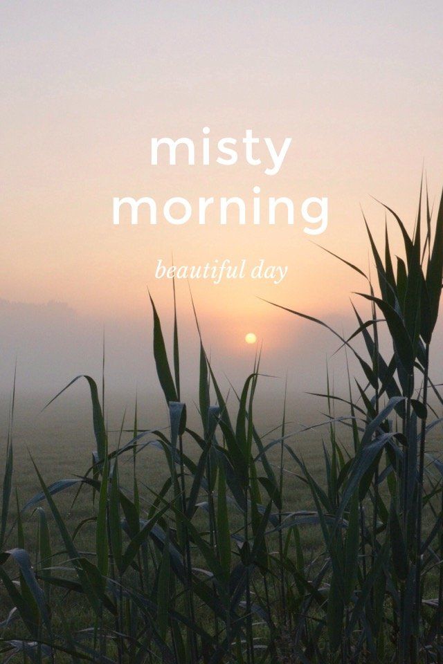 the sun is setting behind tall grass with words above it that read misty morning beautiful day