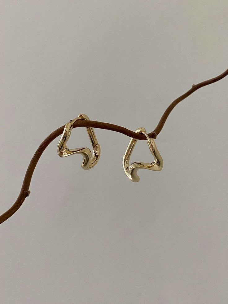 pair of gold earrings sitting on top of a branch