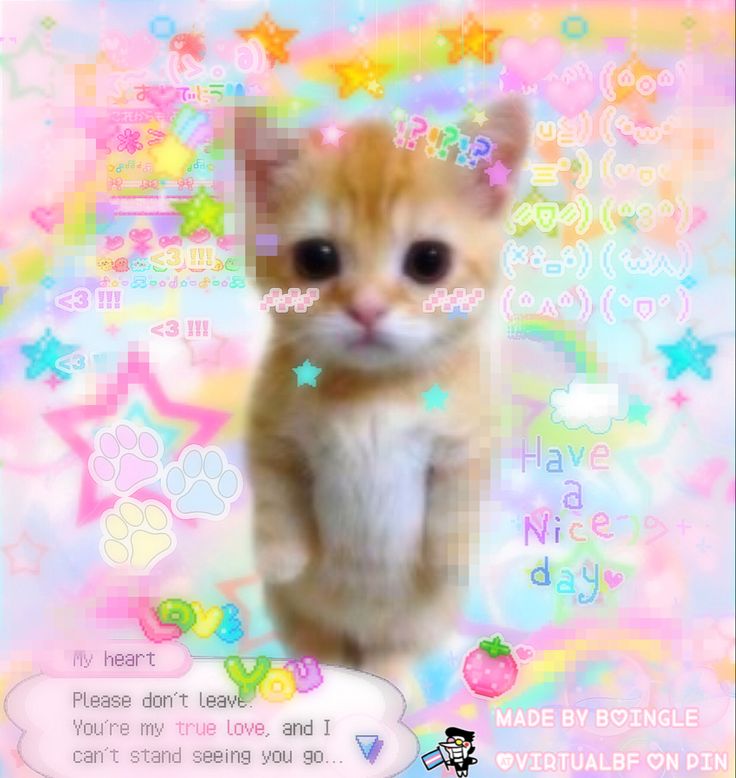 an orange kitten is standing on its hind legs and looking at the camera while surrounded by stars