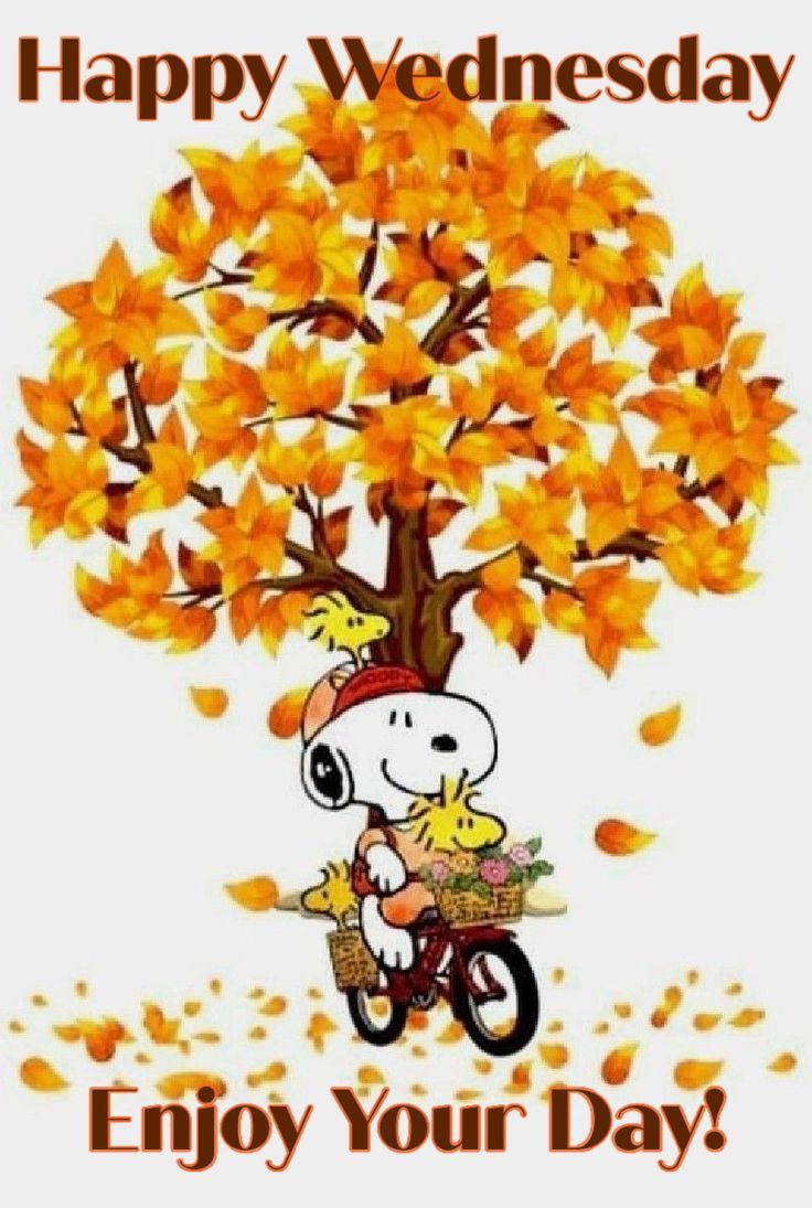 a cartoon dog riding a bike under a tree with autumn leaves on it's branches