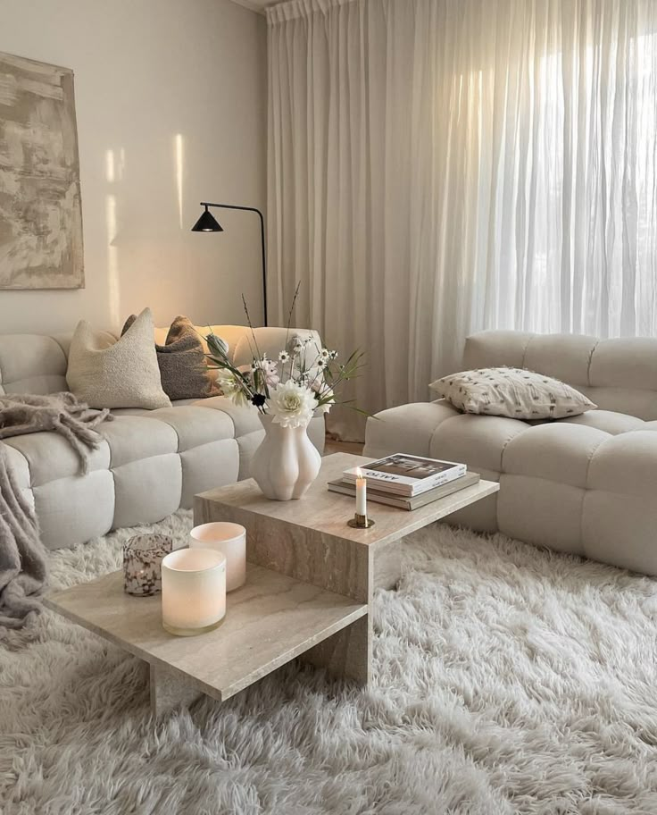 a living room filled with furniture and a white rug on the floor in front of a window