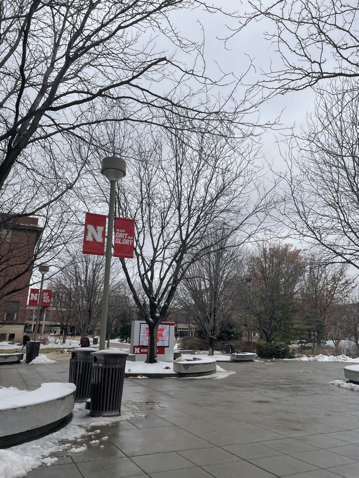 a street sign on a pole in the middle of a snowy area with no parking signs