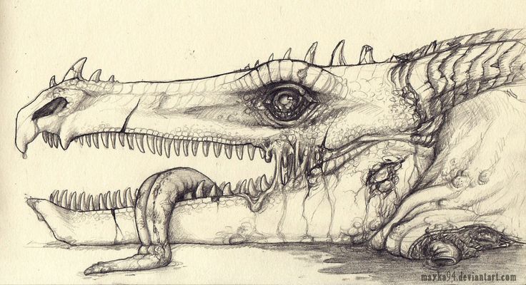 a drawing of a dragon with its mouth open