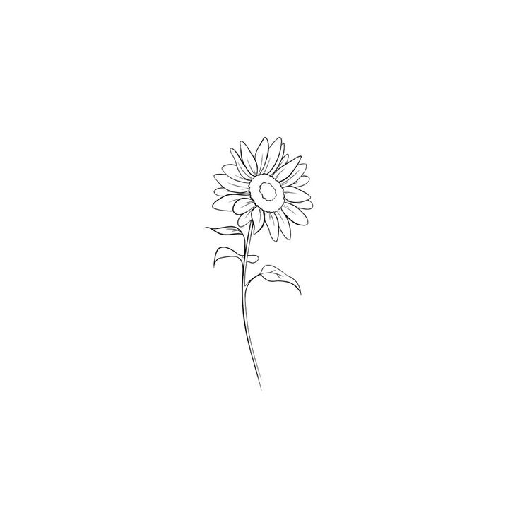 Sunflower doodle ~ Fine Line Sunflower Tattoo Design, Mini Tattoos Sunflower, Sunflower Tattoo Outline Drawing, Subtle Sunflower Tattoo, Sunflower Drawing Minimalist, Simple Tattoos Sunflower, Flower Tattoos Sunflower, Line Art Sunflower Tattoo, 3 Sunflowers Tattoo