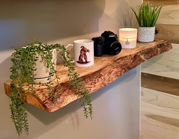 a wooden shelf with mugs and plants on it